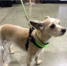 Load image into Gallery viewer, Tre Ponti Easy Fit Mesh Fluro Green Harness with Adjustable Girth