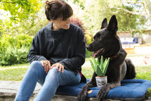 Load image into Gallery viewer, P.L.A.Y Blooming Buddies Aloe-ve You Plant Plush Dog Toy