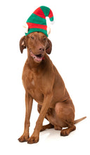 Load image into Gallery viewer, Fuzzyard Elf Hat