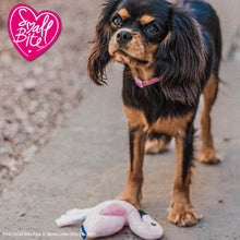 Load image into Gallery viewer, “Ancol Small Bite Flamingo Toy”