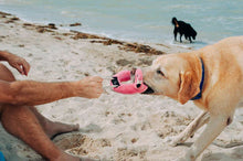 Load image into Gallery viewer, P.L.A.Y Tropical Paradise Flamingo Float Plush Dog Toy