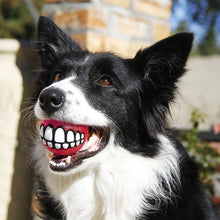 Load image into Gallery viewer, Rogz Grinz Treat Ball - Pink