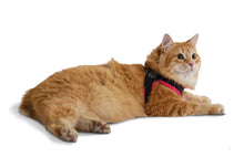 Load image into Gallery viewer, Tre Ponti Easy Fit Mesh Fluo Pink Harness with Adjustable Girth