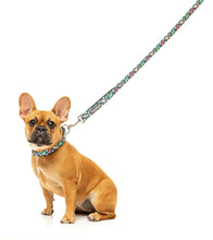 Load image into Gallery viewer, “ Fuzzyard Dinosaur Land Dog Lead - Comfortable, Durable, and Stylish”