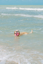 Load image into Gallery viewer, P.L.A.Y Tropical Paradise Flamingo Float Plush Dog Toy