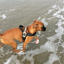 Load image into Gallery viewer, Tre Ponti Primo Plus American Camouflage Dog Harness with Handle
