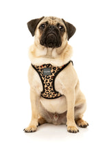 Load image into Gallery viewer, Fuzzyard Javan Step In Harness