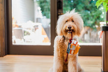 Load image into Gallery viewer, P.L.A.Y Canine Commute San Pup-Cisco Cable Car Plush Dog Toy