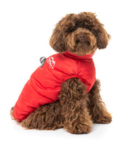 Load image into Gallery viewer, Fuzzyard The Eastcoast Harness Jacket - Red