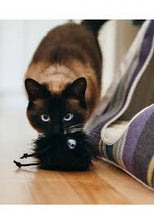 Load image into Gallery viewer, P.L.A.Y Feline Frenzy Frisky Furball Cat Toy