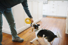 Load image into Gallery viewer, P.L.A.Y Barking Brunch Chicken & Woofles Plush Dog Toy