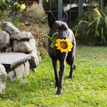 Load image into Gallery viewer, P.L.A.Y Blooming Buddies Sassy Sunflower Plush Dog Toy