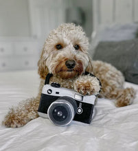 Load image into Gallery viewer, P.L.A.Y Camera Plush Dog Toy