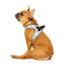 Load image into Gallery viewer, “Fuzzyard Candy Hearts Step In Harness”