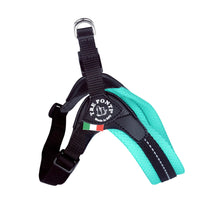 Load image into Gallery viewer, Tre Ponti Easy Fit Mesh Harness Mint with Adjustable Girth