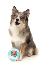 Load image into Gallery viewer, “Fuzzyard Tamadochi Retro Dog Toy”