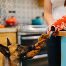 Load image into Gallery viewer, P.L.A.Y Snack Attack Good Boy Cola Plush Dog Toy