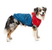 Load image into Gallery viewer, Fuzzyard The Seattle Raincoat - Red & Blue