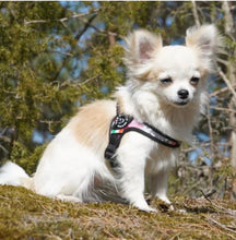 Load image into Gallery viewer, Tre Ponti Easy Fit Pink Camouflage Harness with Adjustable Girth
