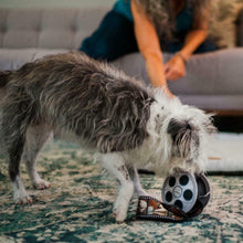 Load image into Gallery viewer, P.L.A.Y Hollywoof Movie Reel Plush Dog Toy