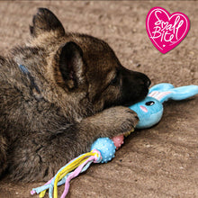 Load image into Gallery viewer, "Ancol Small Bite Bunny Teether Puppy Toy"