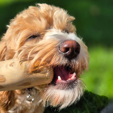 Load image into Gallery viewer, Natural Coffee Wood Dog Chews
