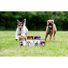 Load image into Gallery viewer, TurmerEase Joint Supplements for Dogs &amp; Cats
