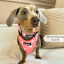 Load image into Gallery viewer, Peachy Hearts Adjustable Dog Harness – PupClub Couture
