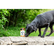 Load image into Gallery viewer, TurmerEase Joint Supplements for Dogs &amp; Cats
