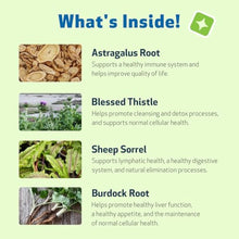 Load image into Gallery viewer, Life Gold for Dogs – Immune &amp; Detox Support (59ml)
