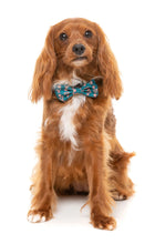 Load image into Gallery viewer, FuzzYard I Heart Candy Canes Dog Bow Tie &amp; Bandana Set (2 Pack)
