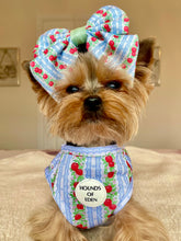 Load image into Gallery viewer, Eden's Orchard Dog Cooling Vest
