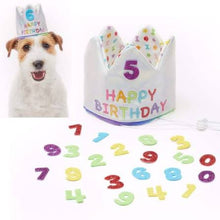 Load image into Gallery viewer, Pet London Custom Number Dog Birthday Crown | Reusable Birthday Hat for Dogs
