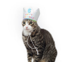 Load image into Gallery viewer, Pet London Custom Number Dog Birthday Crown | Reusable Birthday Hat for Dogs
