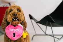 Load image into Gallery viewer, Love Bug Lock &amp; Key Dog Toy by P.L.A.Y
