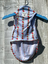 Load image into Gallery viewer, Eden's Orchard Dog Cooling Vest
