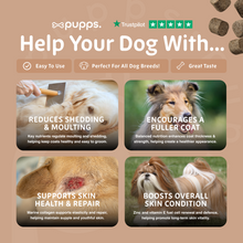 Load image into Gallery viewer, Skin &amp; Coat Treats
