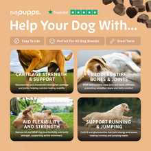 Load image into Gallery viewer, Hip &amp; Joint Treats
