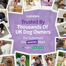 Load image into Gallery viewer, Calming Treats
