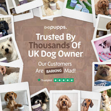 Load image into Gallery viewer, Pupps Pre &amp; Probiotic Dog Treats – Digestive Health Support
