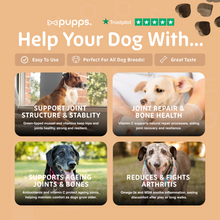 Load image into Gallery viewer, Hip &amp; Joint Treats
