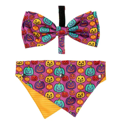 FuzzYard Oh My Gourd 2-pack featuring a pumpkin-themed bowtie and reversible bandana for dogs.