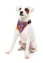 Load image into Gallery viewer, Dog wearing FuzzYard Oh My Gourd bandana 
