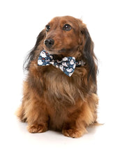 Load image into Gallery viewer, Dog wearing FuzzYard That’s the Spirit bowtie

