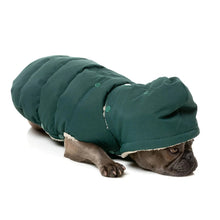 Load image into Gallery viewer, FuzzYard Essential Dog Puffer Jacket – Teddy Lined Coat with Removable Hood (Forest Green)
