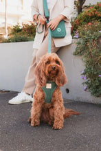 Load image into Gallery viewer, FuzzYard Life Cross Body Bag – Treat &amp; Training Bag with Poop Dispenser - Myrtle Green
