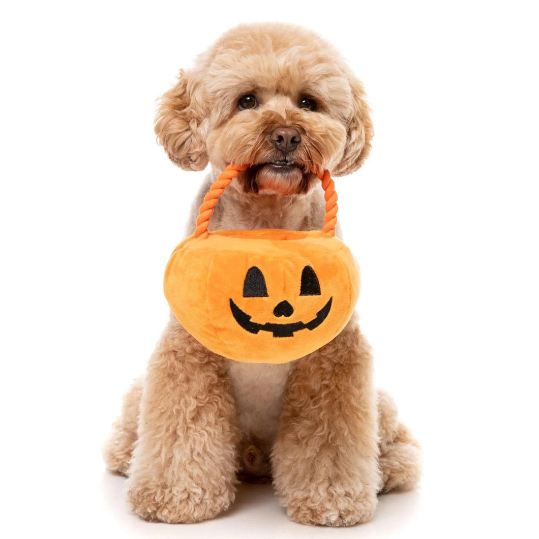 Dog playing with FuzzYard Trick or Treat Pumpkin Basket plush toy