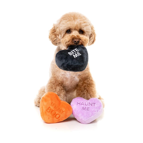 Dog playing with FuzzYard Spooky Candy Hearts Halloween plush toys.