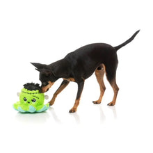 Load image into Gallery viewer, Dog playing with FuzzYard Stumpy Franken-Pus Halloween plush toy 
