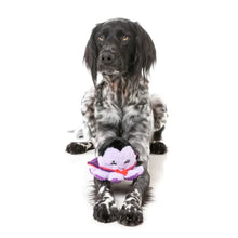 Load image into Gallery viewer, Fuzzyard Stumpy Dractopus Halloween plush dog toy with an internal squeaker and spooky design. Perfect for playful dogs during the spooky season.
